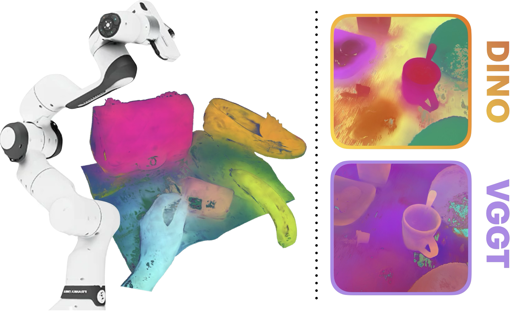 spine.png